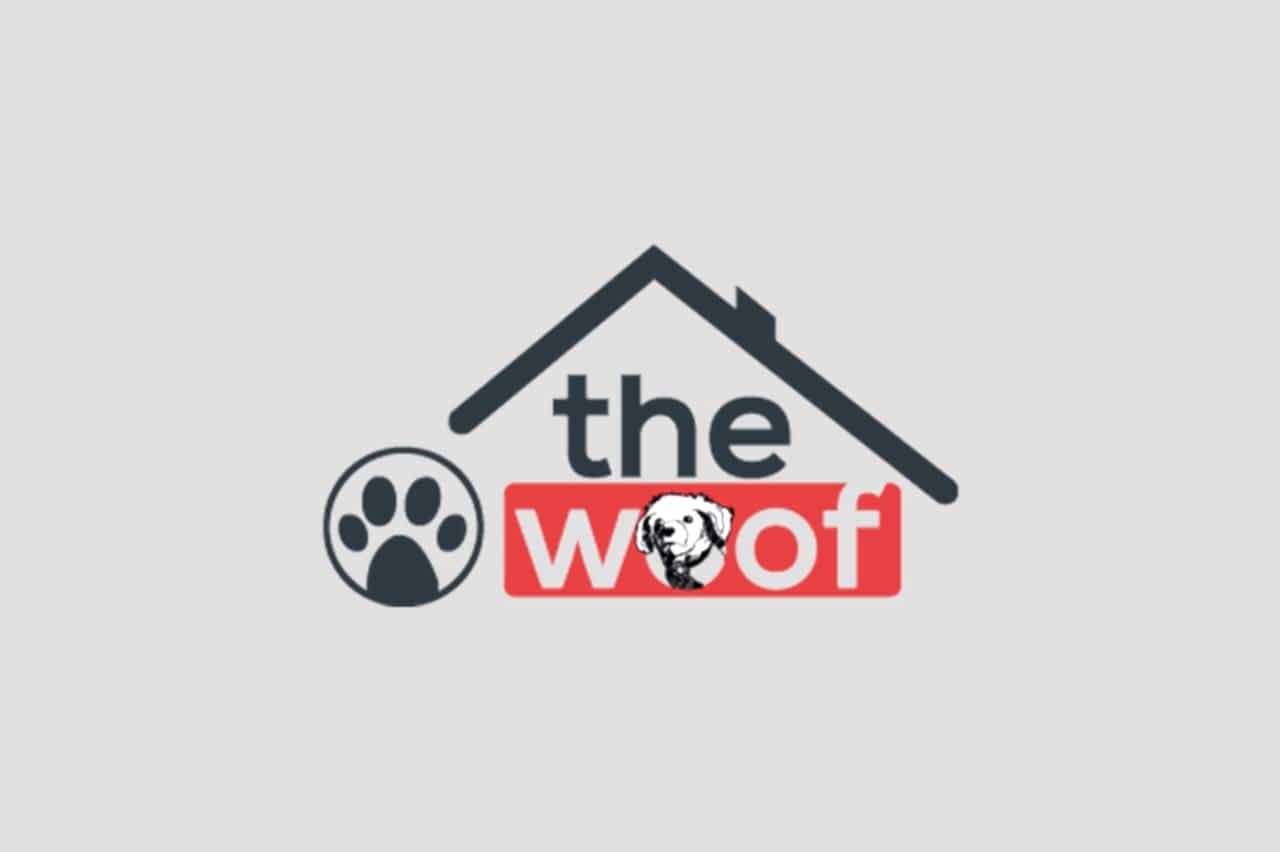Temel İtaat Eğitimi - The Woof Dog Resort