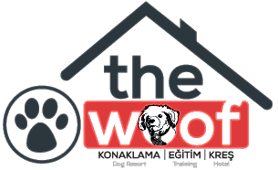 The Woof Dog Resort